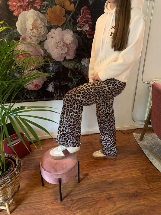 Teddy sneakers burgundy