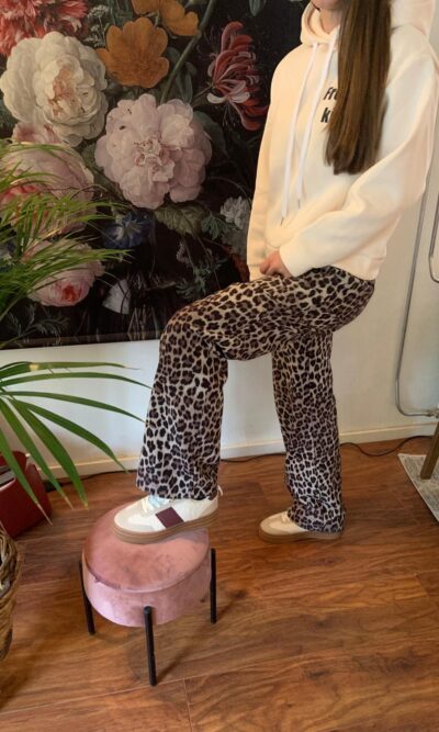 Teddy sneakers burgundy