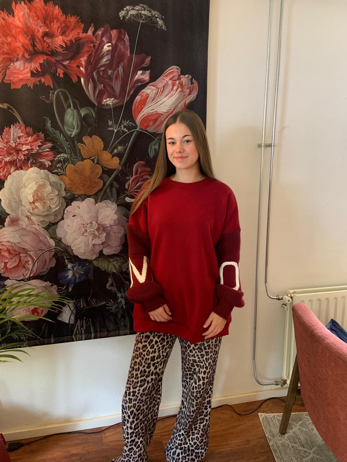 Sweater met gebreide mouwen - Afbeelding 3