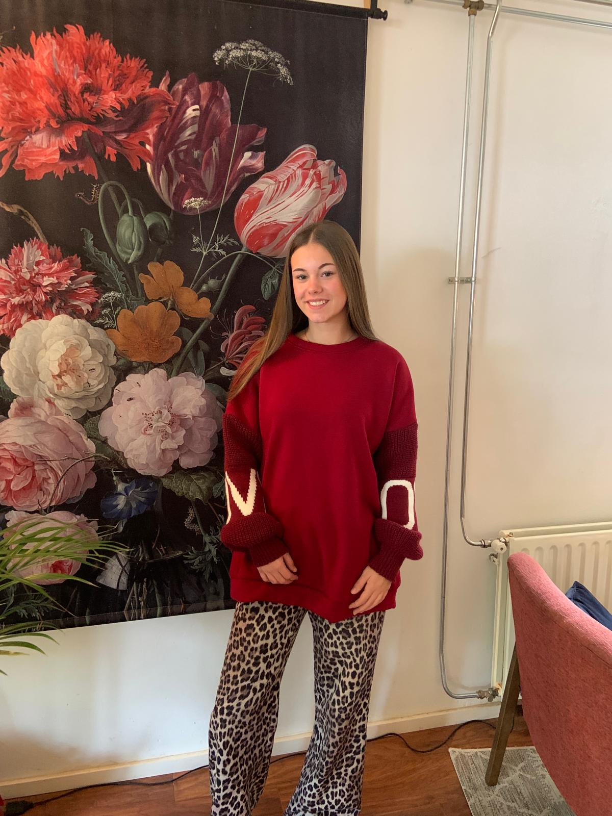 Sweater met gebreide mouwen - Afbeelding 2