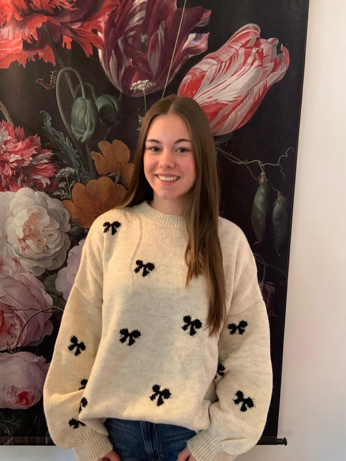 Strikjes trui bruin - Afbeelding 2